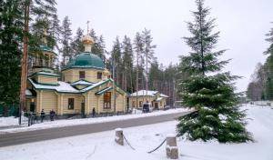 День Новомучеников Церкви Русской