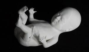 Можно ли убивать эмбрионов в утробе матери? — что думает Церковь